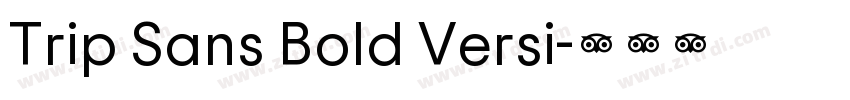 Trip Sans Bold Versi字体转换
